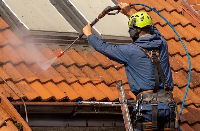 Démoussage et hydrofuge de toiture à Pluvet